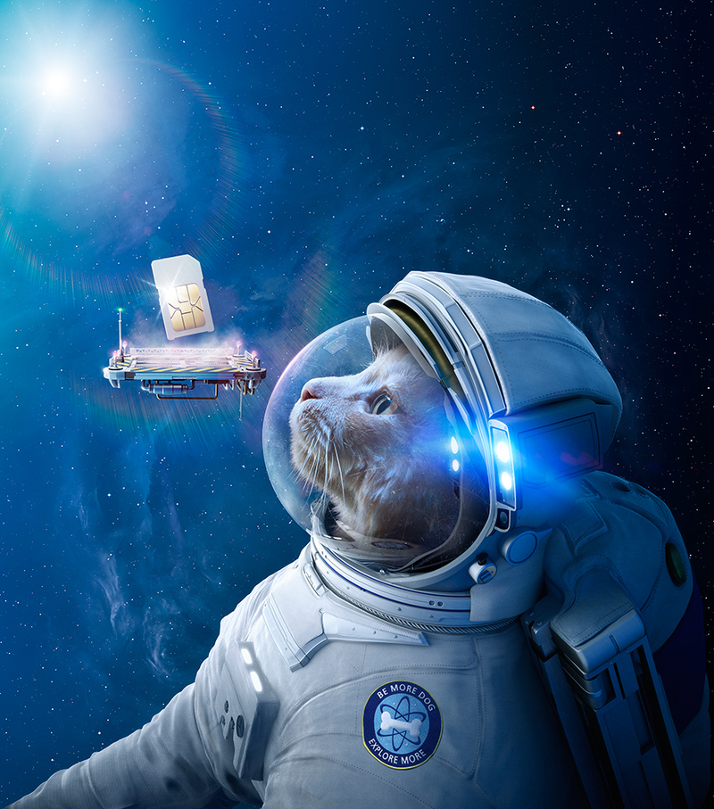 Illustration for article titled My God, It's Full Of Cats! The Very Best Artwork Of Cats In Space